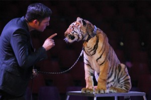 circo