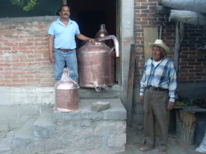 SEDAPA (2)
