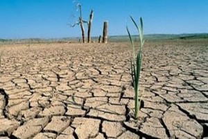 desierto
