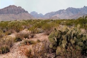 desierto