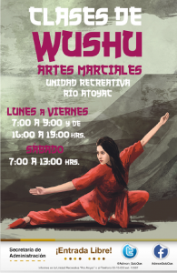 wushu