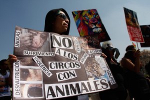 circo