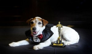 Uggie the dog...EXCLUSIVE - Pictures by Jeff Rayner/Coleman-Rayner Uggie the dog from the multi Oscar nominated film The Artist - Photographed in Beverly Hills,CA - Also pictured is Telegraph reporter Celia Walden Tel USA 323 687 8025 - Cell Tel USA 310 474 4343 - Office