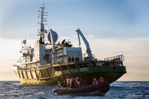 vaquita3