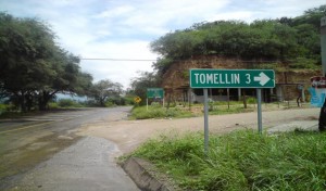 tomellin