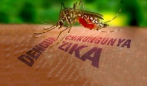 zika2