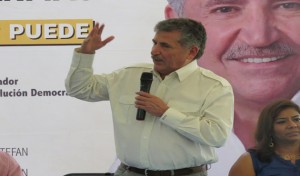 estefan2