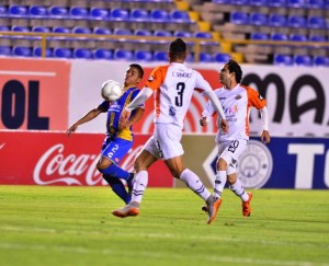 san luis alebrijes 1