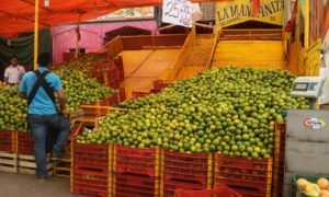 comerciantes 3
