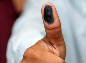 elecciones sello