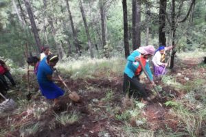 OAXACA-PET_PREVENCION_DE_INCENDIOS-01