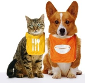 alimentos mascotas