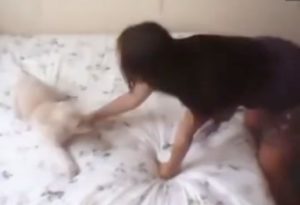 maltrato-de-perro