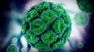 virus-papiloma