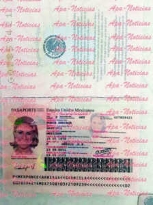 captura-de-pantalla-2016-11-18-a-las-08-33-35