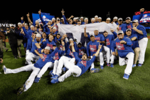 cachorros