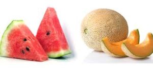 melon-sandia