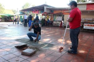 trabajos jardin