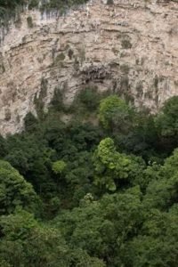areas naturales protegidas