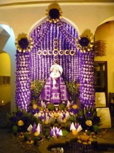 color morado virgen