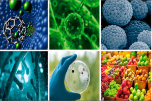 investigacion quimica aplicada