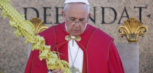 papa domingo de ramos