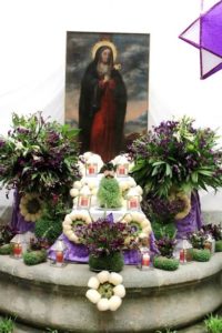 virgen morado otra