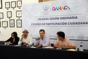 consejo participacion ciudadana