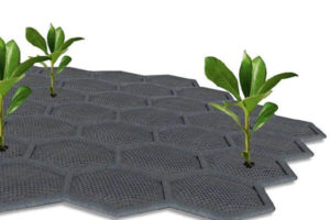 alfombra cultivo