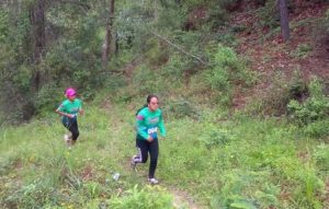 carrera tlaxi