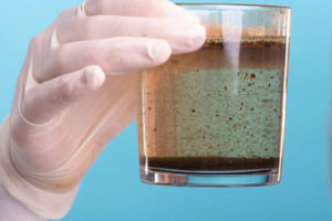 Descubren-descontaminantes-para-tratar-el-agua-a-partir-de-residuos-forestales
