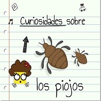 piojos-1