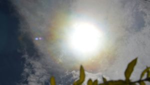 color sol