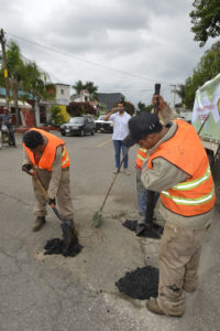 BACHEO (3)