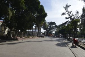 EL LLANO (4)