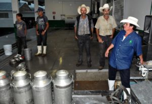 JALISCO18