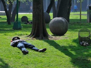 siesta 1