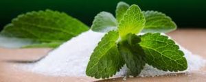 stevia