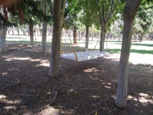 ADMINISTRACIÓN-BOSQUE EL TEQUIO (3)