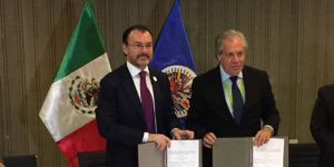 oea videgaray