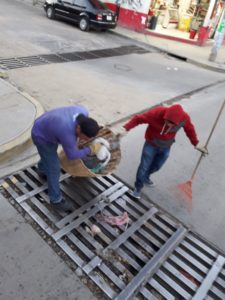 ACCIONES DE LIMPIEZA (4)
