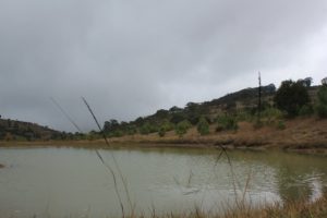 CEPCO (1) (2)