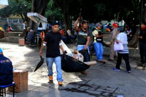 Limpieza del zócalo (2)