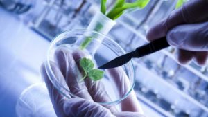 biotecnologia
