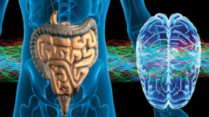 intestino-cerebro
