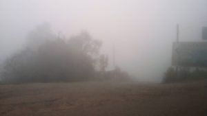 neblina