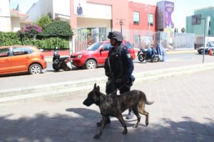 operativo seguridad guelaguetza