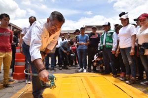 MEGA TEQUIO POR OAXACA 2018 (2)