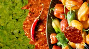 salsa