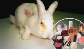 cosmeticos probados en animales